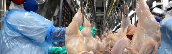 Imagem ilustrativa da imagem Senado aprova crédito de R$ 15 bilhões para exportadores e agroindústria