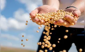 Bioeconomia pode aumentar renda do produtor rural