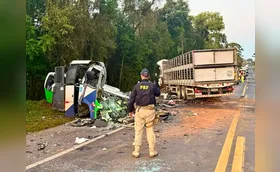 Colisão entre ônibus e carreta deixa 23 mortos nos Campos Gerais