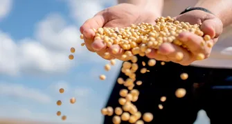 Bioeconomia pode aumentar renda do produtor rural