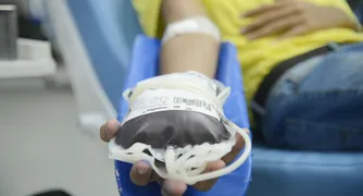 Doação de sangue: espera para quem fez tatuagem e piercing será menor