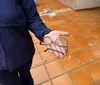 Aluno agride professora com socos em colégio cívico-militar na zona norte