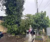 Chuva em Londrina provoca queda de árvores e suja vias em dia de eleição