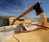 Paraná recupera 4ª posição entre maiores produtores agrícolas