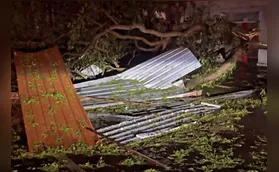 Rajadas de vento de 124 km/h causam estragos em Apucarana