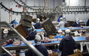Política de cotas da China retém 400 mil toneladas e desafia exportação de carne bovina