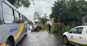 Aulas na rede municipal de Apucarana estão suspensas  nesta quarta
