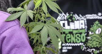 Flagrante por drogas gera mais prisão preventiva do que outros crimes