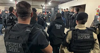 Grupo é alvo de operação por furto de gado no Noroeste