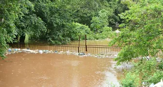 Nível do rio Paraná pode subir e impactar bairro paraguaio