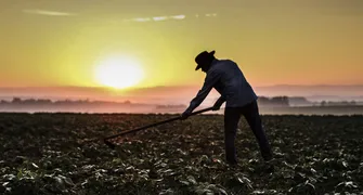 No mercado de trabalho do agronegócio, recorde de pessoas empregadas convive com sensação de falta de mão de obra