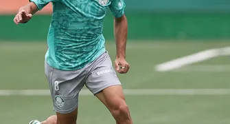 Palmeiras busca recuperação contra o Bahia na volta da data Fifa