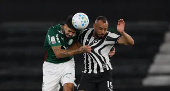 Palmeiras empata com Botafogo e Flamengo vira líder