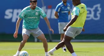 Palmeiras enfrenta Botafogo de olho no Flamengo no retrovisor