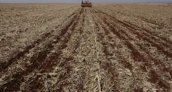Perdas no trigo e manejo delicado na soja: primavera super úmida prejudica colheita e plantio