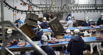 Política de cotas da China retém 400 mil toneladas e desafia exportação de carne bovina