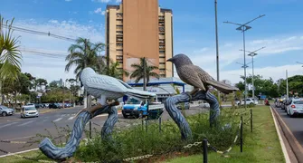 Prefeitura de Arapongas afasta professora acusada de dopar crianças