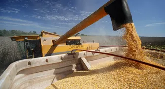 Paraná recupera 4ª posição entre maiores produtores agrícolas