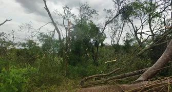 Temporal causa estragos em Cornélio Procópio e Santa Mariana