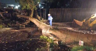Temporal com rajadas de até 94 km/h causa estragos no Norte do PR
