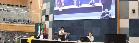 Imagem ilustrativa da imagem Câmara aprova regulamentação de área para moradias populares