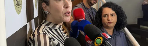 Imagem ilustrativa da imagem MP denuncia homem pelo feminicídio e estupro tentado de Thaissa