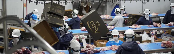 Imagem ilustrativa da imagem Política de cotas da China retém 400 mil toneladas e desafia exportação de carne bovina