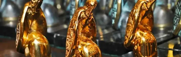 Imagem ilustrativa da imagem Ruy Castro é o grande vencedor, mas tem londrinense entre os premiados