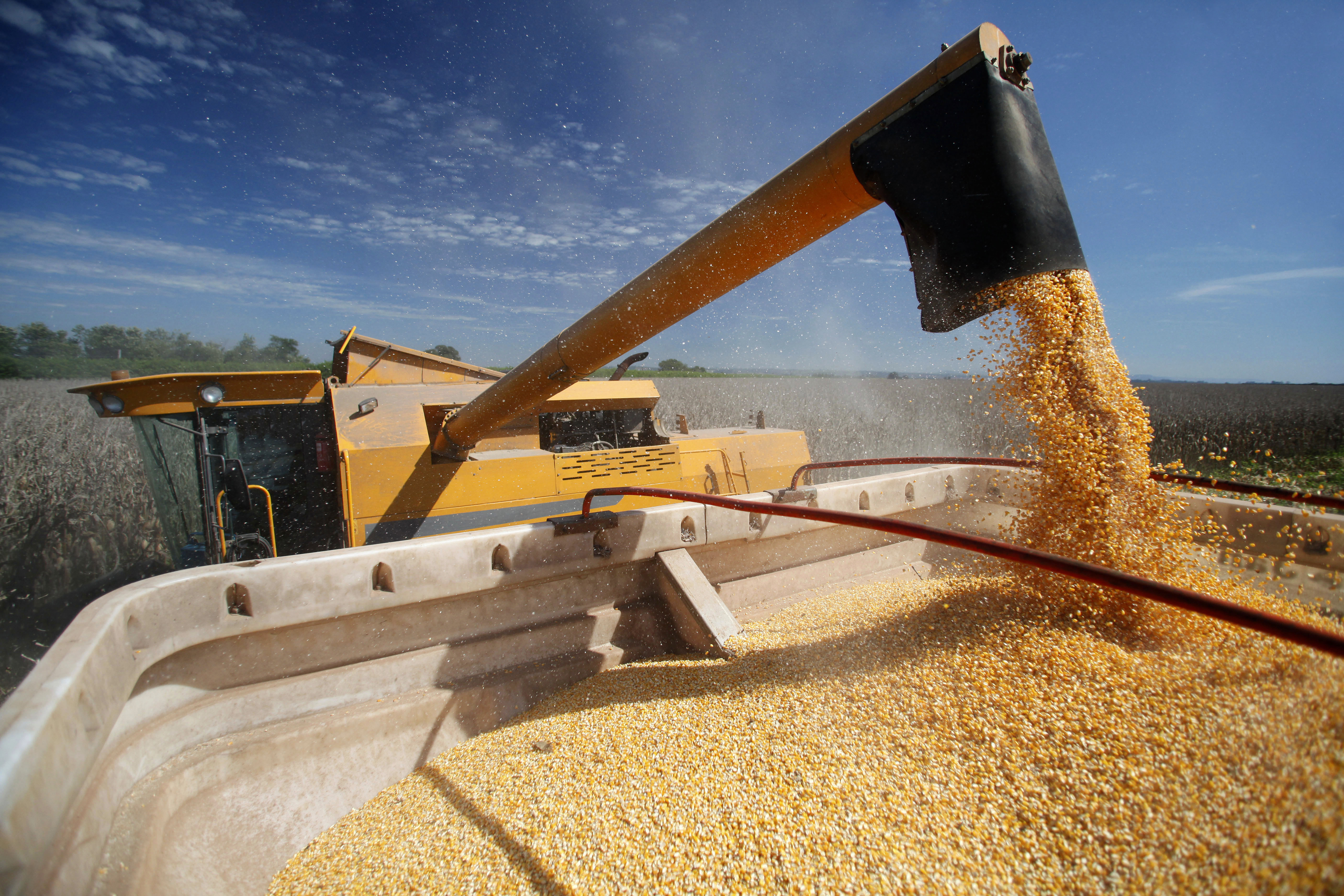 Paraná recupera 4ª posição entre maiores produtores agrícolas