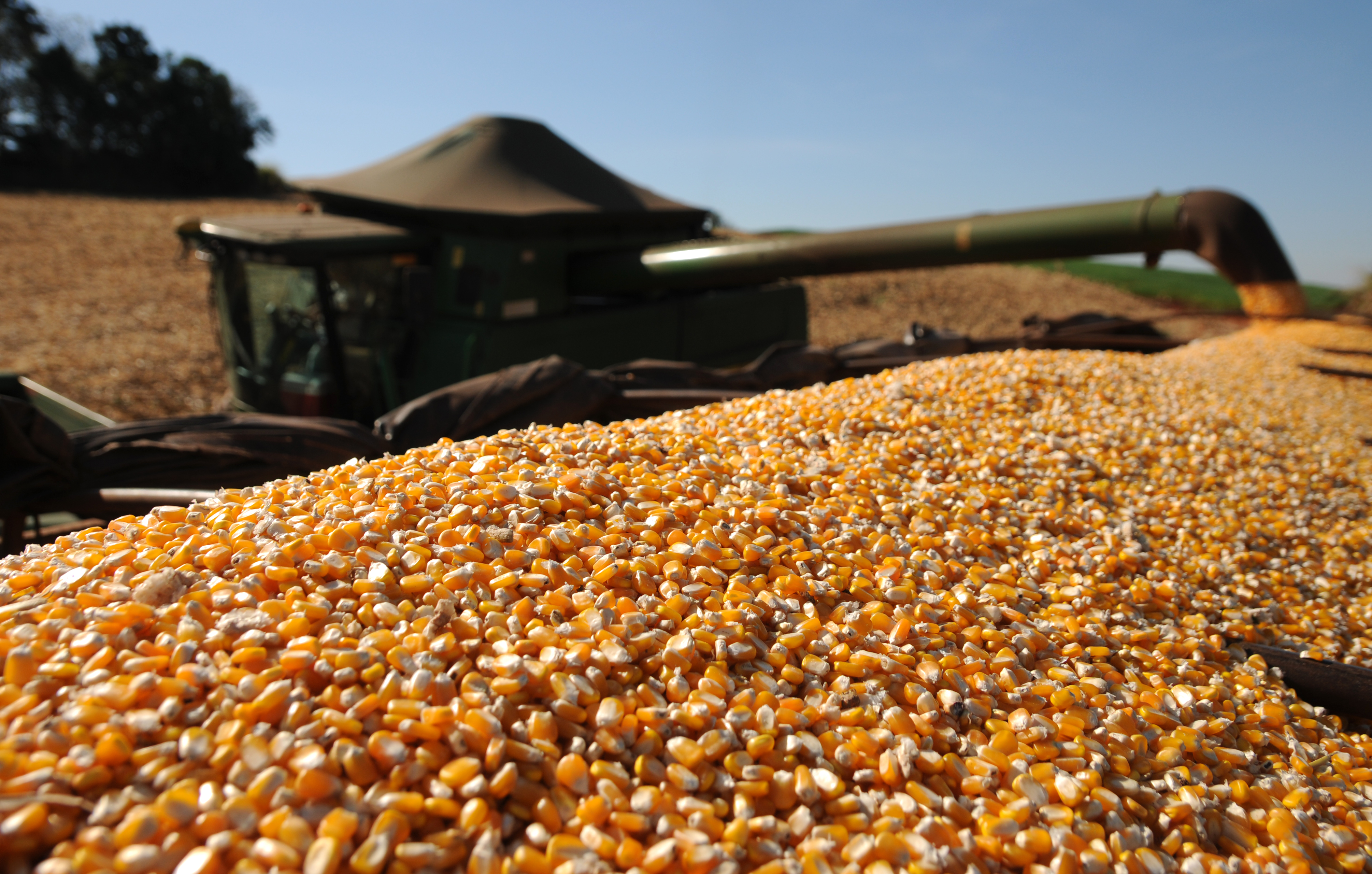 Segunda safra vai além do grão: a cadeia de valor da bioeconomia