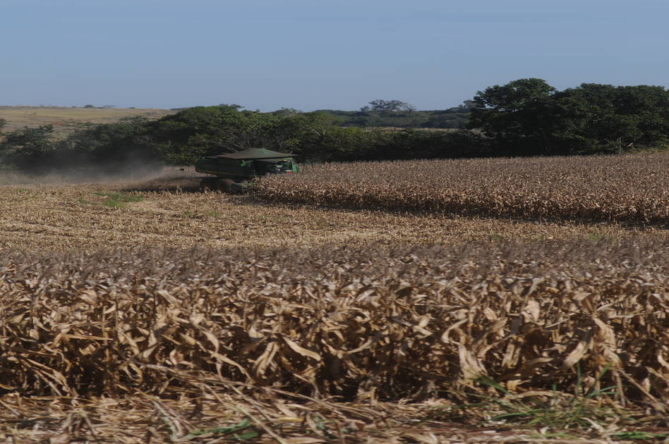 O número de cooperativas do setor agropecuário corresponde a 24% do total de cooperativas do País