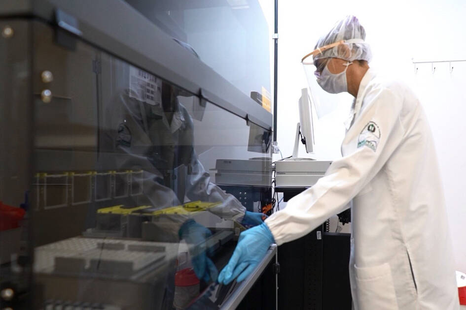 Laboratório de Análises Clínicas da UEL realiza a testagem de casos suspeitos de Covid-19.