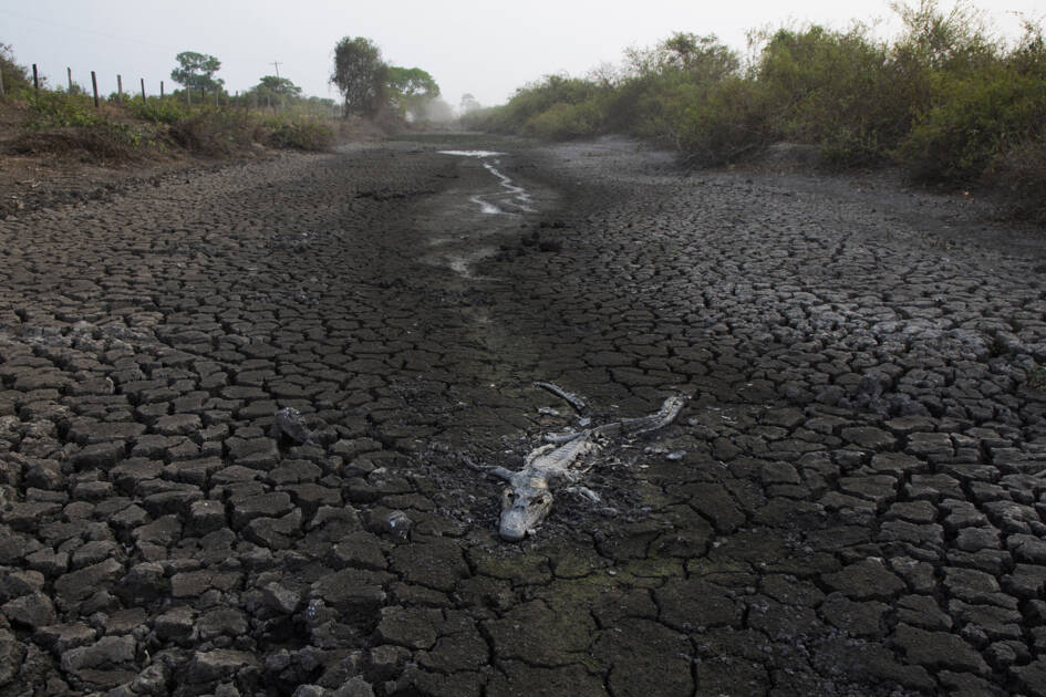 Governo alega perseguição de outros países em relação a temas como queimadas no Pantanal