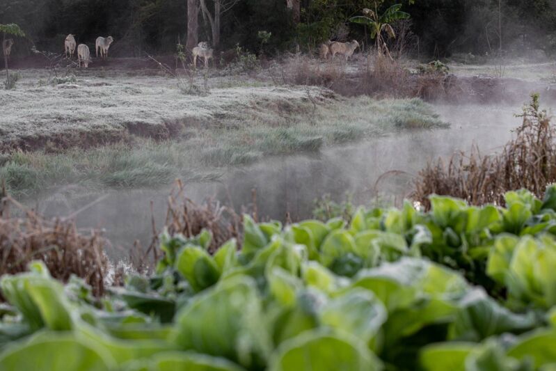 Frio intenso volta ao Paraná a partir de terça-feira - Vimarsana News