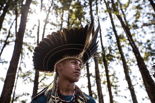 Terrae Brasilis: Os primeiros da terra