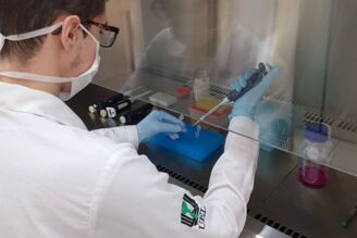 UEL é a universidade que possui mais grupos de pesquisa