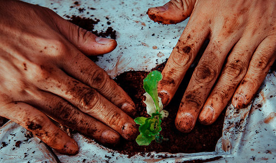 Mãos à obra - Uma fotorreportagem sobre o trabalhador e seu ofício