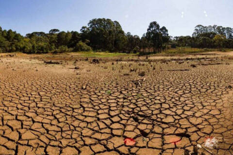 Imagem do Sistema Passaúna. Chuvas registradas até o momento indicam dificuldade de atingir média histórica para o mês.