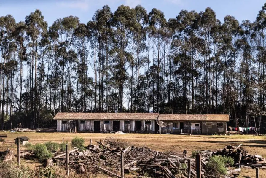 MEIO AMBIENTE - Todo dia uma autuação
