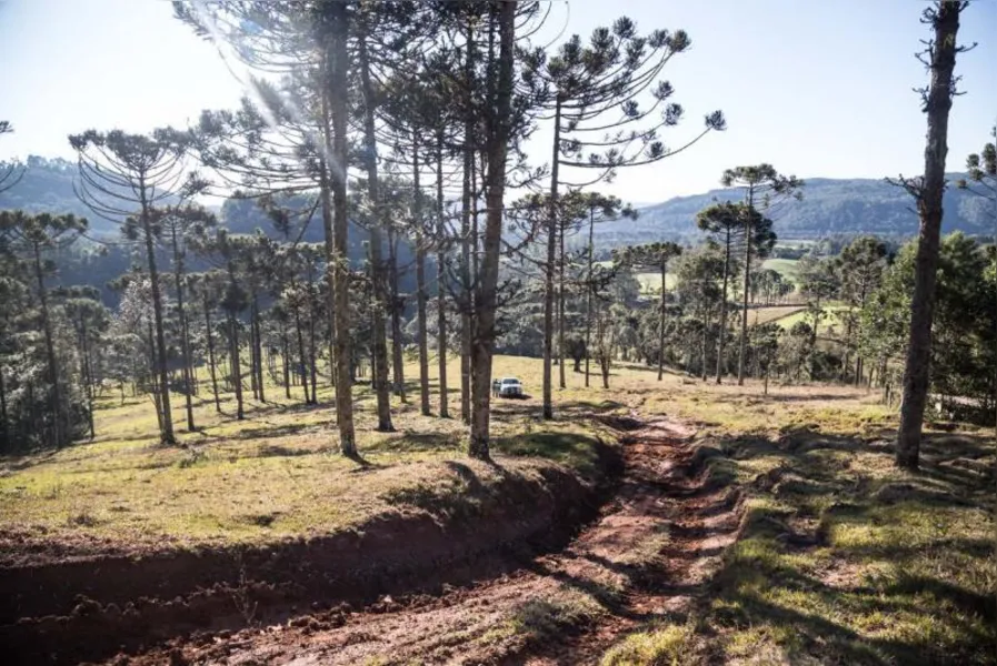 MEIO AMBIENTE - Todo dia uma autuação