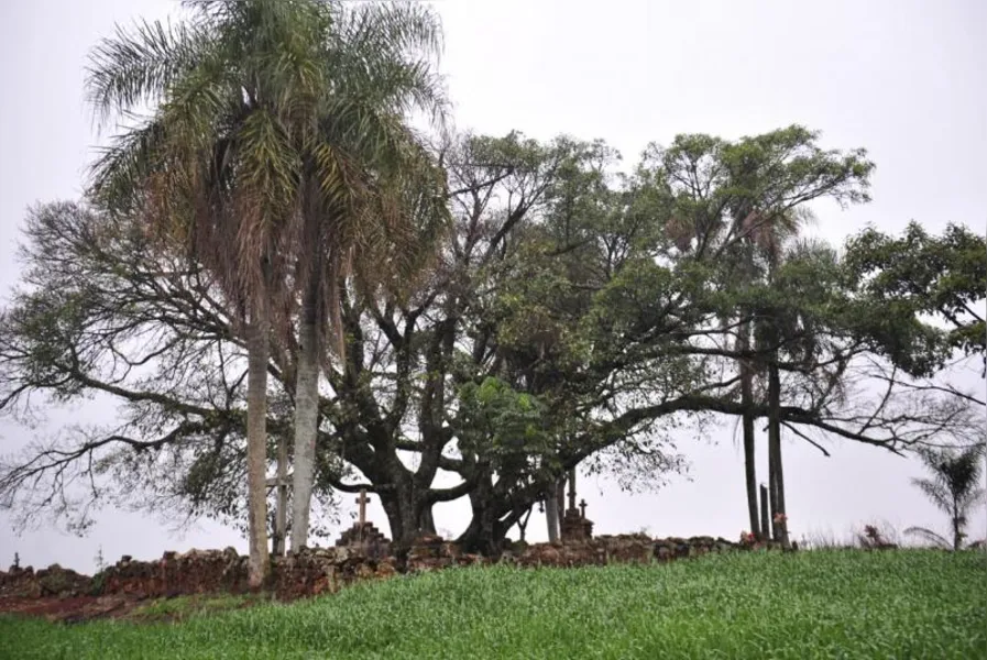 Comunidades quilombolas têm perfis distintos