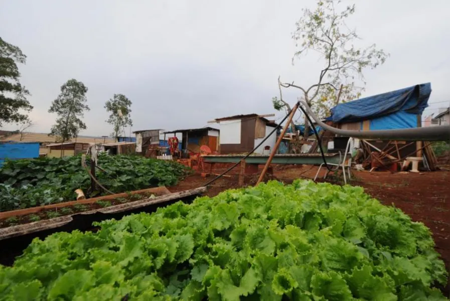LUTA POR TETO - Londrina tem 3.600 famílias em ocupações irregulares