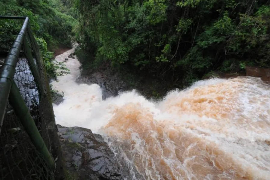 Confira as últimas notícias sobre as chuvas em Londrina