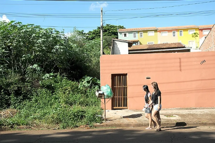 Galeria do dia