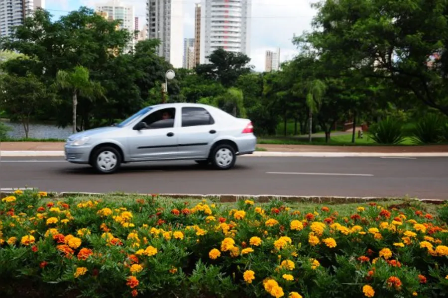 Embelezando praças e rotatórias