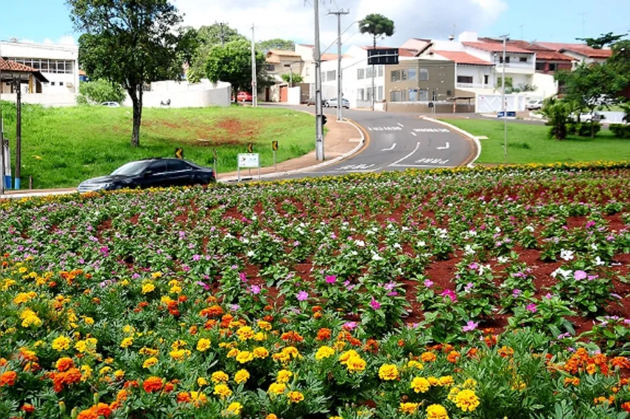 Galeria do dia