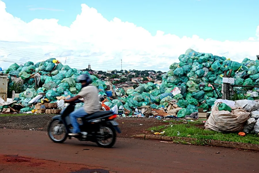 Galeria do dia