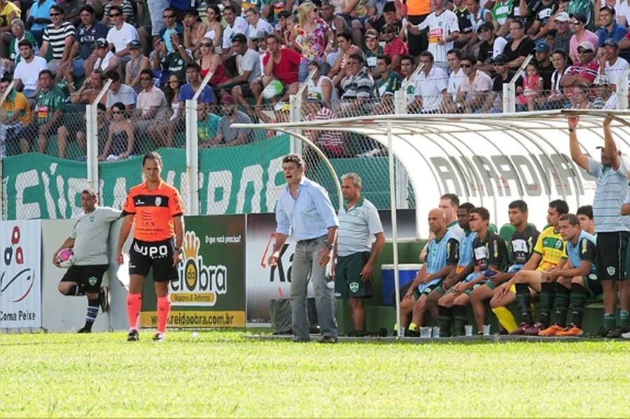 Galeria do dia