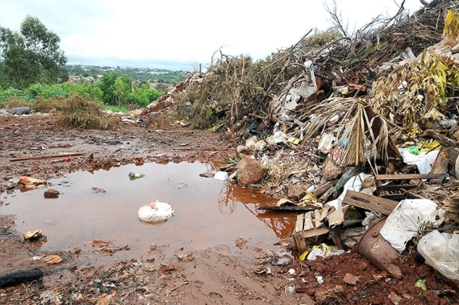 Galeria do dia
