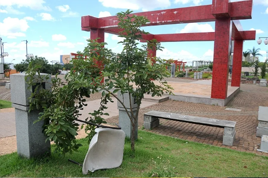 Galeria do dia